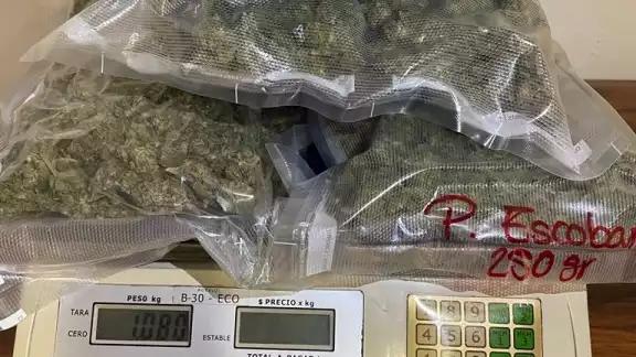 Las bolsas venían en otros plásticos para tratar de disfrazar la droga Las bolsas venían en otros plásticos para tratar de disfrazar la droga
