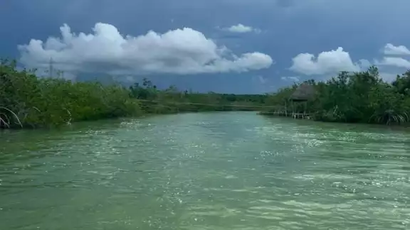 La encargada de la política interna de Quintana Roo aseguró que no es facultad del Gobierno del Estado imponer sanciones a los responsables