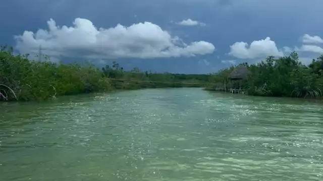 La encargada de la política interna de Quintana Roo aseguró que no es facultad del Gobierno del Estado imponer sanciones a los responsables