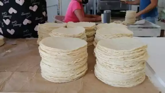 El precio de la tortilla se mantendrá en 21 pesos el kilo en Sabancuy El precio de la tortilla se mantendrá en 21 pesos el kilo en Sabancuy
