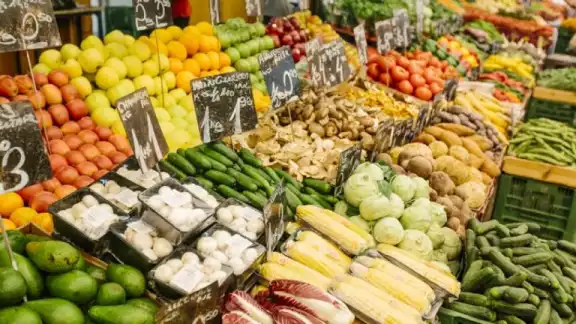 Cada 16 de octubre, se celebra el Día Mundial de la Alimentación, proclamado por la FAO Cada 16 de octubre, se celebra el Día Mundial de la Alimentación, proclamado por la FAO