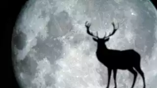 La Luna de Ciervo se podrá observar en cualquier parte del mundo