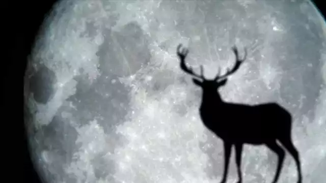 La Luna de Ciervo se podrá observar en cualquier parte del mundo