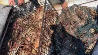  Pescadores del Litoral  Oriente de Yucatán rechazan exportar  langosta viva al extranjero