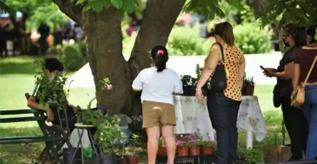 Quintana Roo registra más de 16 mil casos de sobrepeso en semana 49