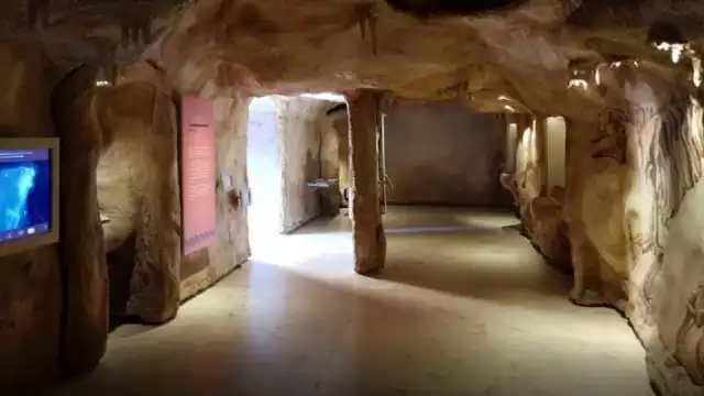 Campeche alberga gran cantidad de historia de la cultura maya