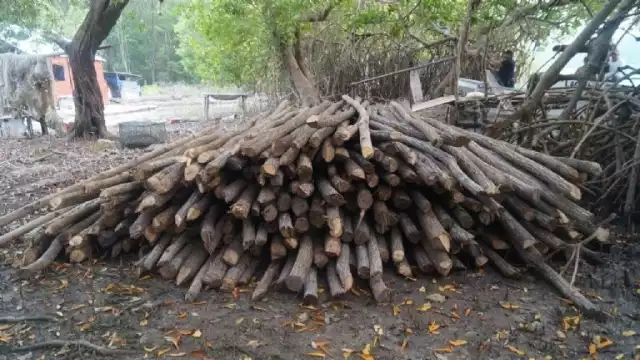 Si pasa mucho tiempo guardada pierde su calidad por ser un producto natural, es decir, se pudre por la humedad