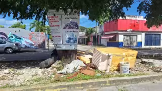 Basura se acumula en el centro de Cancún; vecinos denuncian fallas en recolección