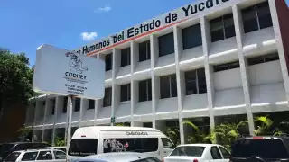 La iniciativa contempla normas para los refugios, tanto privados como públicos