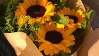 Ocho frases en maya para dedicar con tus flores amarillas este 21 de septiembre