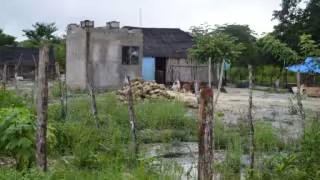 Colonos sufren falta de regularización en su colonia en Quintana Roo
