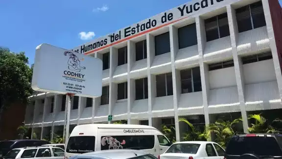 La iniciativa contempla normas para los refugios, tanto privados como públicos
