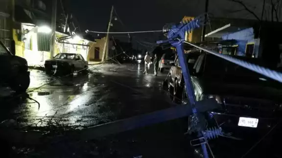 La tormenta de 150 kilómetros por hora provocó caídas de arboles La tormenta de 150 kilómetros por hora provocó caídas de arboles