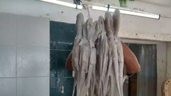 Esperan mejores resultados Esperan mejores resultados