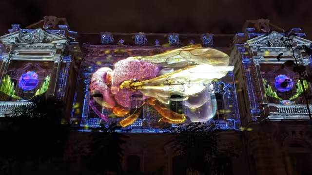 El videomapping tendrá sus últimas dos proyecciones el viernes 22 y 29 de enero.