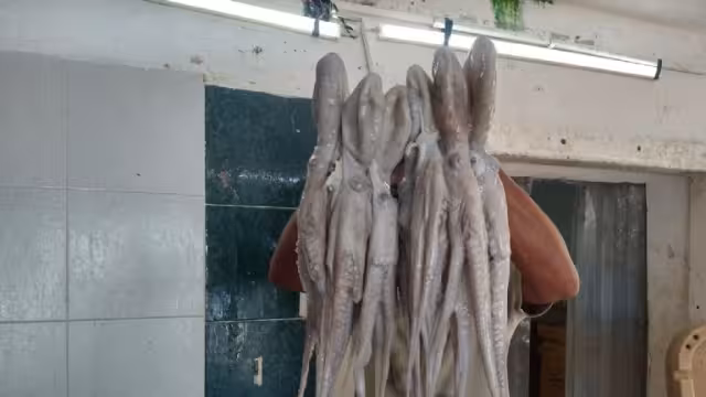 Esperan mejores resultados