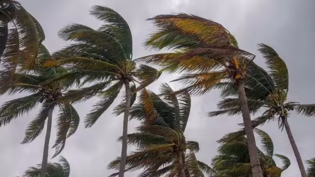 Una Surada azotará a Yucatán el fin de semana