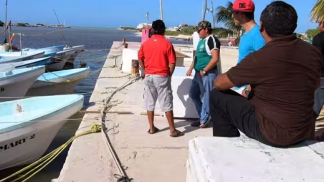 En el puerto de abrigo de Sisal, la mayoría de las embarcaciones permanecen varadas y algunos pescadores se dedican a la reparación y mantenimiento de las naves