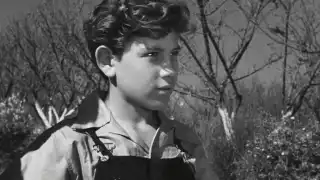 El actor Alfonso Mejía es recordado por ser uno de los protagonistas de la película 'Los Olvidados" de Luis Buñuel