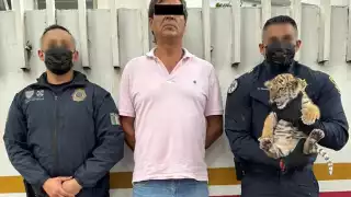 El detenido llevaba en una transportadora un cachorro de tigre, el cual fue asegurado
