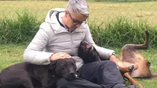 Federica Quijano responde a acusaciones de abandono de perros