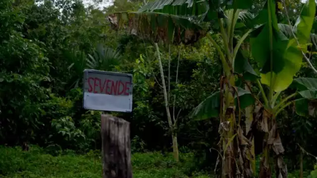 Sólo el 14% de los terrenos se venden dentro de Mérida