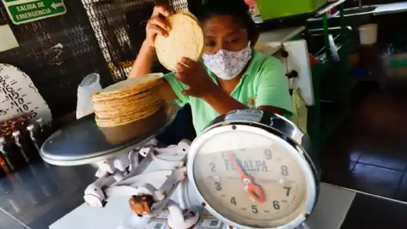 En zonas como el municipio de Felipe Carrillo Puerto, el precio del kilo de tortilla encareció debido a que las tortillerías debían pagar más por los insumos para su elaboración En zonas como el municipio de Felipe Carrillo Puerto, el precio del kilo de tortilla encareció debido a que las tortillerías debían pagar más por los insumos para su elaboración