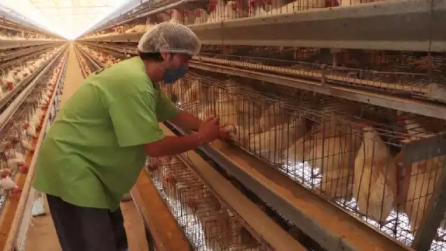 Los CDC emitieron una declaración oficial asegurando que no existe información que sugiera un aumento en el riesgo para la salud pública 