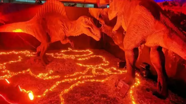 La Expo Dinosaurios comenzó en Tizimín este lunes