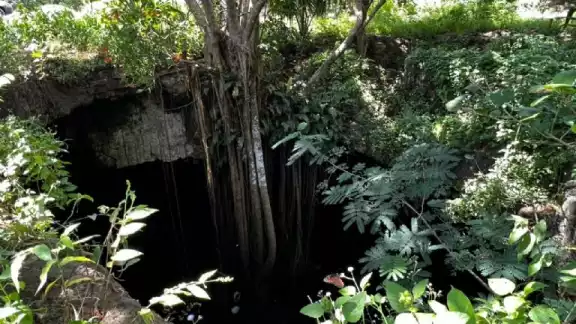 Pobladores se arroban al cenote 7 bocas en Sucopó Pobladores se arroban al cenote 7 bocas en Sucopó