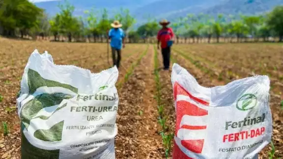Chiapas, segundo estado con el mayor número de beneficiarios de fertilizante gratuito Chiapas, segundo estado con el mayor número de beneficiarios de fertilizante gratuito