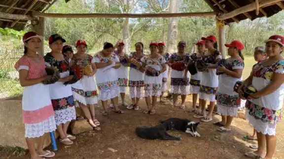 Las Diablillas Mestizas, ejemplo en Quintana Roo