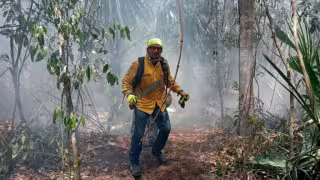 “Ola" de calor en Quintana Roo: ¿Cómo prevenir un incendio forestal?