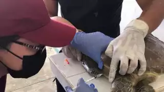 Voluntarios planean realizar un marcha por la desaparición del centro