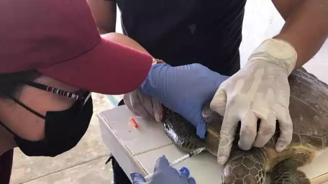 El titular del campamento señaló que el nuevo director del plantel tiene conflictos personales con él