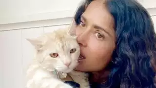 Salma Hayek divide opiniones en redes por video de su gato cazador                                                                                     