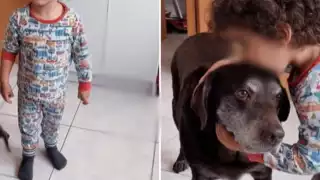 Niño enseña valores en redes sociales: "A los animales no se les pega"