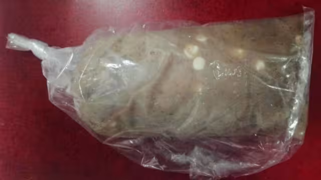 Encontraron vestigios de hierva verde en los bolis que intoxicaron a dos menores de edad en Sonora