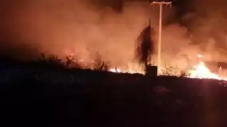 El terreno está ubicado a la salida de Telchac Pueblo rumbo al municipio de Sinanché