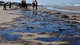 Derrame petrolero en Dos Bocas pone en jaque a Campeche: pesca, economía y especies en riesgo