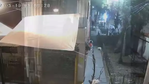La mujer fue víctima de violencia por un hombre en la alcaldía Iztacalco. Foto: Captura de Pantalla
La mujer fue víctima de violencia por un hombre en la alcaldía Iztacalco. Foto: Captura de Pantalla