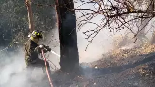 Sofocan incendio en la Tercera Sección del Bosque de Chapultepec