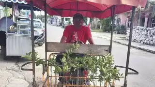 Foto: Amir Jesús Mex Ayuso