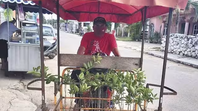 Foto: Amir Jesús Mex Ayuso