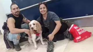 "Guërito", el lomito de asistencia emocional disfrutó de sus vacaciones en Cancún