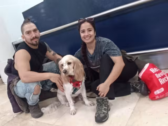 Los turistas aseguraron que han visitado tres países acompañados por su lomito; las aerolíneas han facilitado que pueda volar en cabina