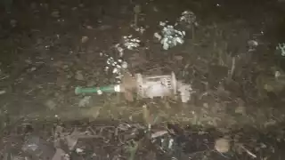 Foto: Roberto Hernández  