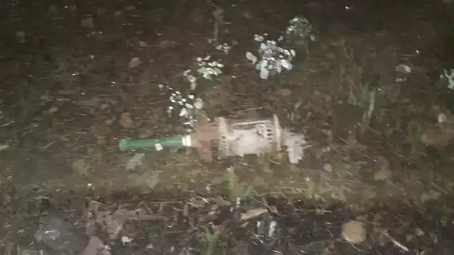 Foto: Roberto Hernández  