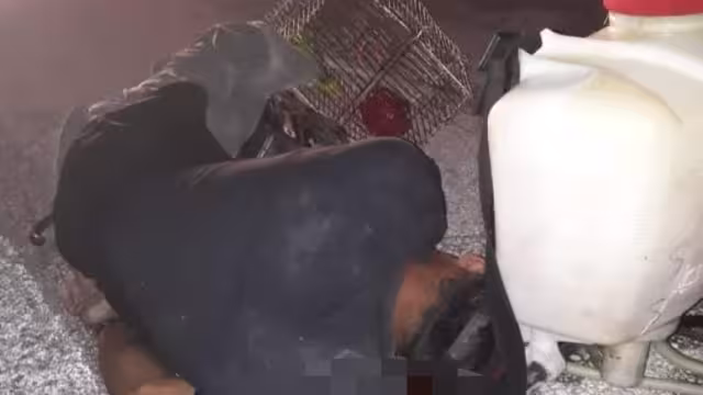 Era un joven trabajador, pero después empezó a drogarse y a beber alcohol, lo que lo orilló a cometer actos ilicitos