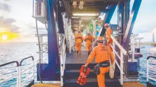 Las grandes empresas de estos insumos son Diavaz, Cotemar y Protexa